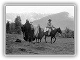Gender Perspectives course image.