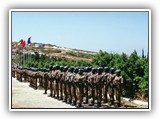 Human Rights and Peacekeeping course image.