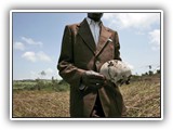 Human Rights and Peacekeeping course image.