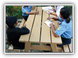Human Rights and Peacekeeping course image.