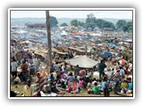 Human Rights and Peacekeeping course image.