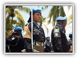 Human Rights and Peacekeeping course image.