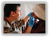 Human Rights and Peacekeeping course image.