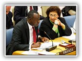 An Introduction to the UN System course image.