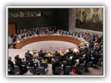An Introduction to the UN System course image.