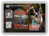 An Introduction to the UN System course image.