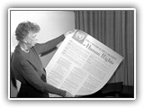 An Introduction to the UN System course image.