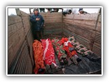 Preventing Violence Against Women course image.