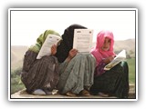 Human Rights course image.