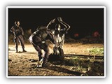 Human Rights course image.
