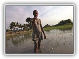 Human Rights course image.