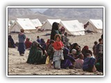 Human Rights course image.