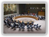 Peacekeeping and International Conflict Resolution course image.