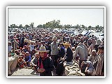 Peacekeeping and International Conflict Resolution course image.