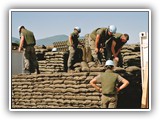 Principles and Guidelines course image.