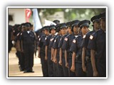 Principles and Guidelines course image.
