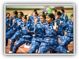 Implementation of the UN SCRs on WPS course image.
