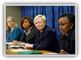 Implementation of the UN SCRs on WPS course image.