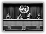 Implementation of the UN SCRs on WPS course image.
