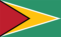 Guyana Flag.